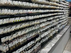 -泰康仰忠精品批发城