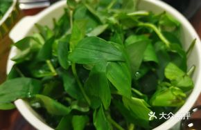 Dendrobium Shoots