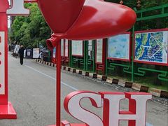 -泗洪洪泽湖湿地景区