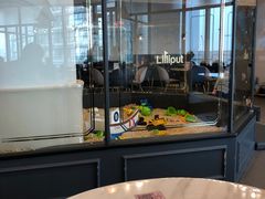 -FAIRYLAND龙族星球主题餐厅(凯丹广场店)