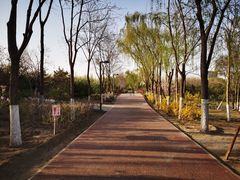 -大兴滨河森林公园