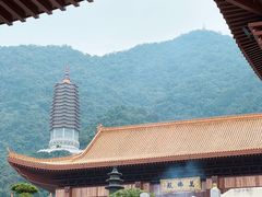 -深圳仙湖植物园