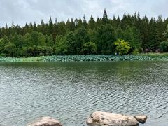 -上海怡沁园度假酒店