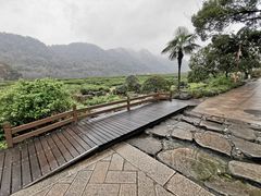 -中国茶叶博物馆(双峰馆区)