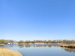 -马家湾湿地公园