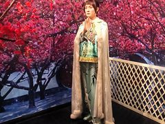 -武汉杜莎夫人蜡像馆