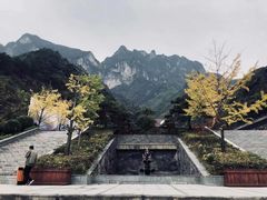 -秦岭天竺山景区