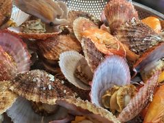 扇贝-船梆煮•蒸汽海鲜·炉火烤肉(五四广场店)