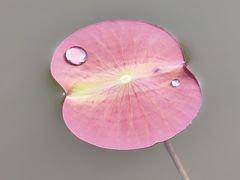 -五缘湾湿地公园