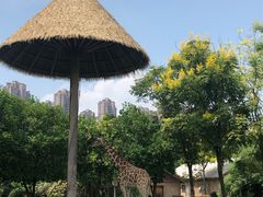 -南昌动物园