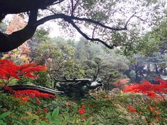 -申粤轩酒楼·三十年粤菜经典(丁香花园店)