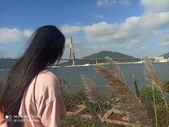 -芒洲湿地公园