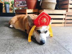 -771餐吧·咖啡·西餐·烤肉(金湖广场店)