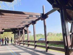 -永定河休闲森林公园