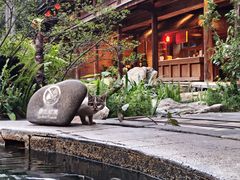 -昆明柏联SPA温泉