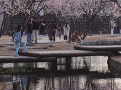 -三里河公园