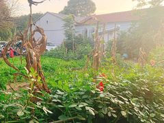 -姥家大锅台水库渔家