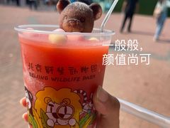 -北京野生动物园