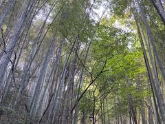 -敬亭山风景名胜区