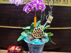 -鸢飞潍坊菜馆(鸢飞大酒店)