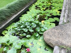 -澳珀食堂