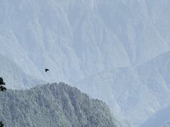 -西岭雪山大飞水景区