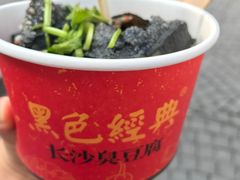 -黑色经典臭豆腐·湖南特产(潇湘文化店)