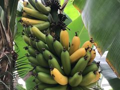 -陆地游轮吉林神农温泉