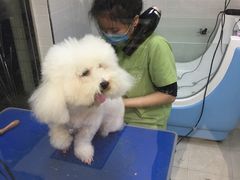 -芭比堂动物医院广州顽皮分院