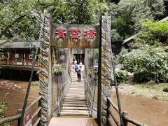 -碧峰峡风景区