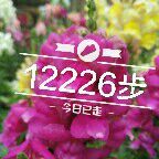 -张氏宽窄巷成都名小吃(茂业百货华强北店)