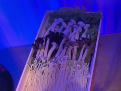 -南门四季铜锅涮肉(大屯·北苑店)