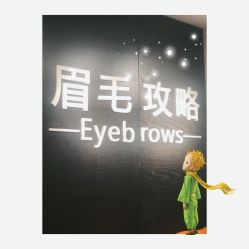 -眉毛攻略·专业修眉染眉野生眉