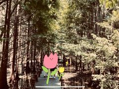 -桤木河湿地公园