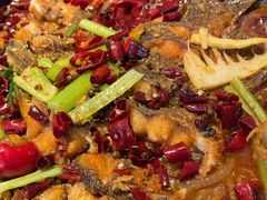 -老板恋上鱼(恒隆广场店)