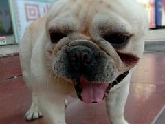 -陈记栗子(长宁路店)