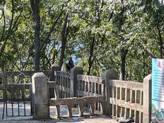 -黔灵山公园