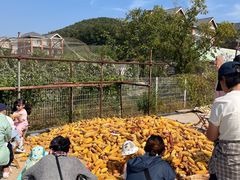 -大连北马山庄