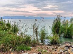 -上海市保健医疗中心