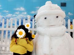 -世界之窗阿尔卑斯冰雪世界