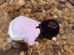 -广东惠东海龟国家级自然保护区