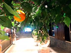 温泉-8号公馆(金川街店)