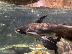 -太平洋海底世界