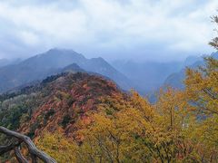 -秦岭终南山世界地质公园翠华山景区