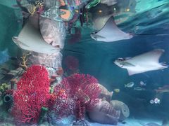 -沈阳海洋探索中心