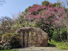 -中国茶叶博物馆(双峰馆区)