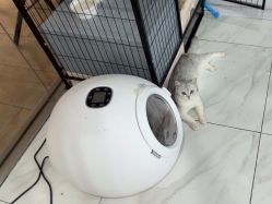 -镁连社·美联社