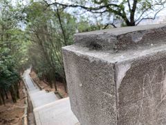 -阳台山森林公园