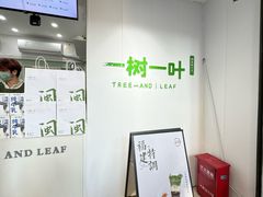 -一树一叶·福建茶档(石鼓路店)