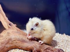 -太平洋海底世界